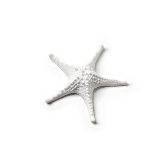Mini étoile de mer décorative